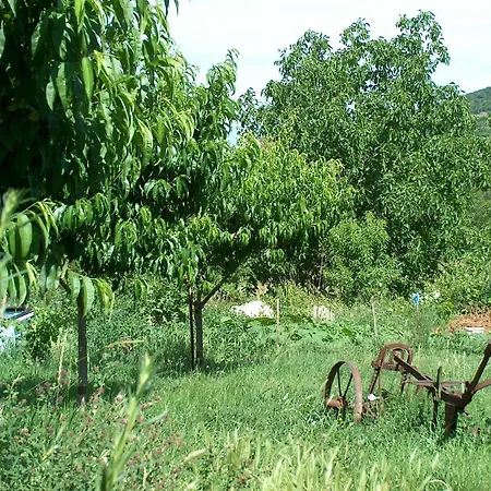 Villa Rozsilak Balatonfüred